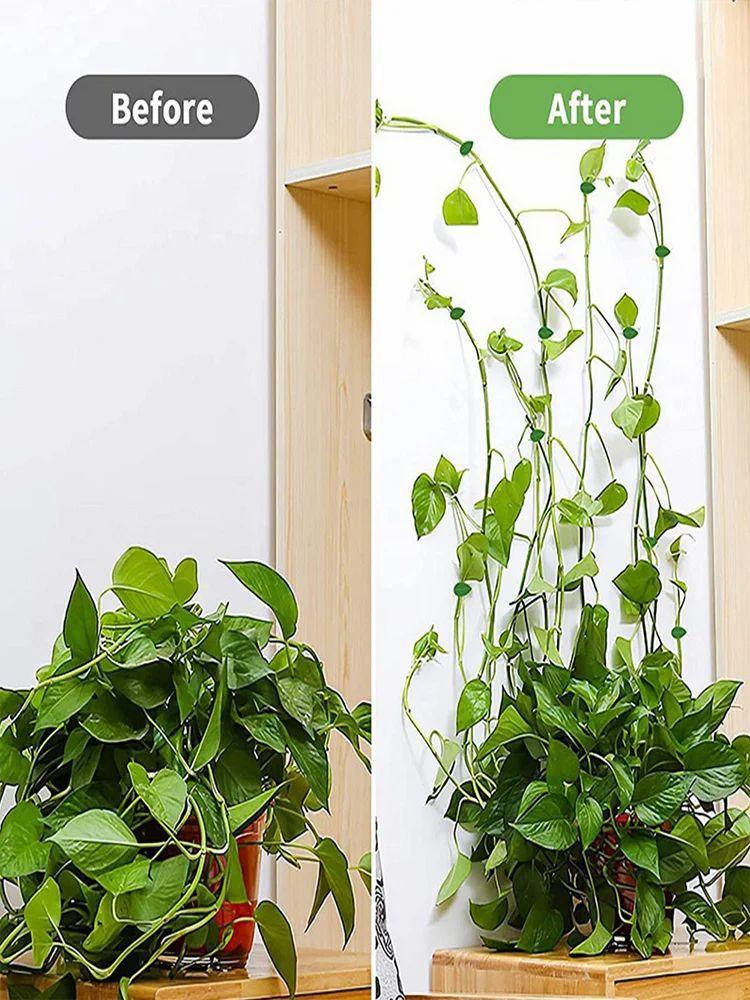 10Pcs Plant Vine Wall Clips Multi Purpose Plant Support Clips for Outdoor Garden  |   Outdoor Storage Outdoor Storage Outdoor Storage