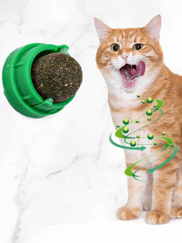 3Pcs Cat Catnip Toys Healthy Cats Wall Catnip Ball Kitten Chew Toys Pet Supplies  |   Cat Accessories Cat Accessories Cat Accessories