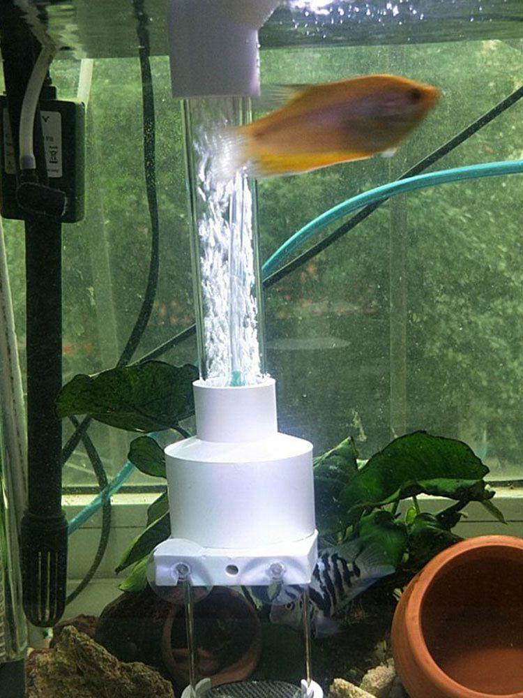 40mm Cichlids Fish Egg Incubator Hatchery Fish Eggs Instead Mouth Brooding  |   Aquarium Accessories Aquarium Accessories Aquarium Accessories