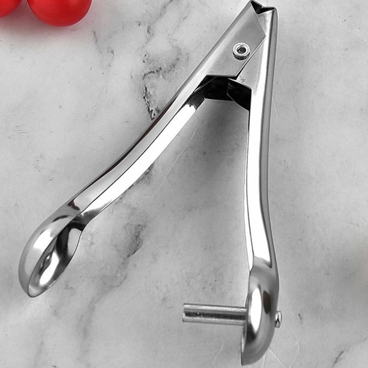 Cherry Pitter Tool – Home Kitchen Stainless Steel Fruit Pit Core Remover  |   Kitchen Tools Kitchen Accessories Kitchen Tools