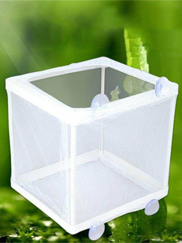 Fish Tank Aquarium Guppy Breeder Mesh Box Net Baby Fish Gauze Trap Isolator  |   Aquarium Accessories Aquarium Accessories Aquarium Accessories