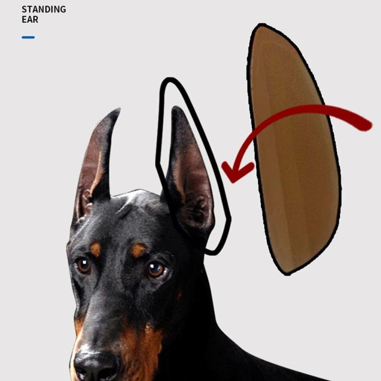 Practical Dog Ear Stand Stickers Breathable Ear Straightener for Dog Accessories  |   Dog Accessories Dog Accessories Dog Accessories